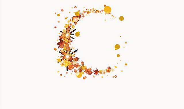 秋天枫叶圆形图片