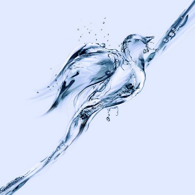 水