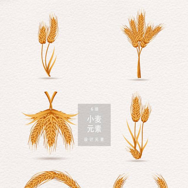五谷稻穗