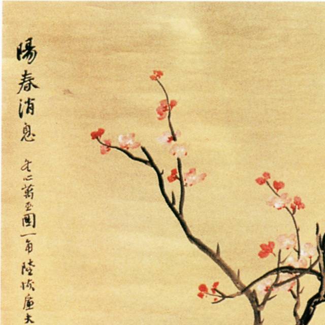 梅花图片