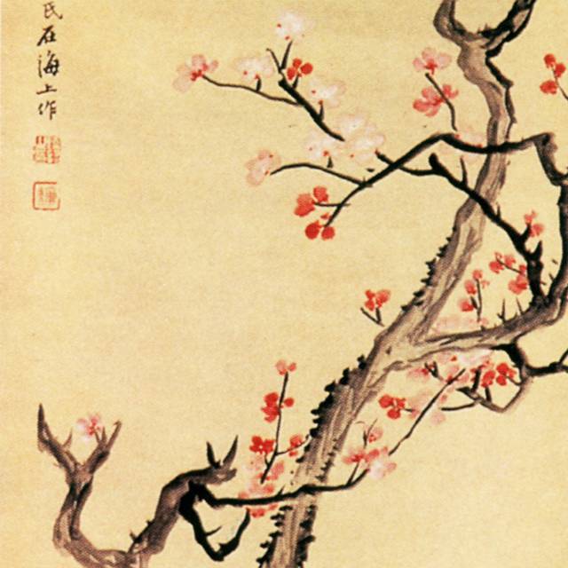梅花图片