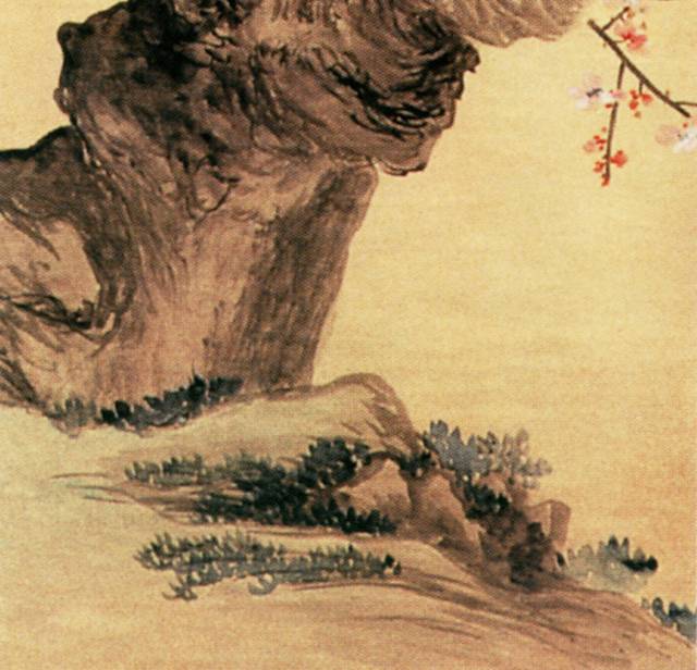 梅花图片