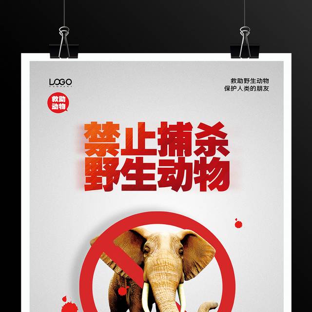 简约时尚禁止捕杀野生动物公益宣传海报
