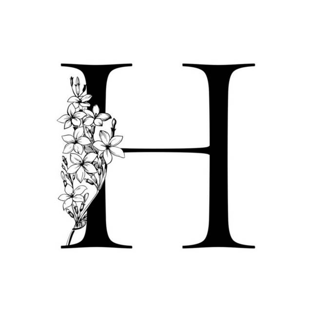 字母H插画2