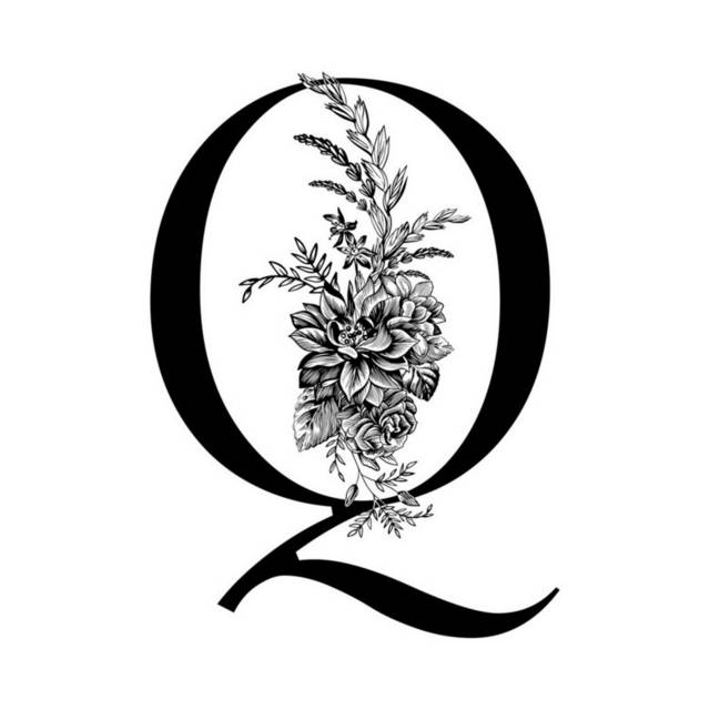字母Q插画