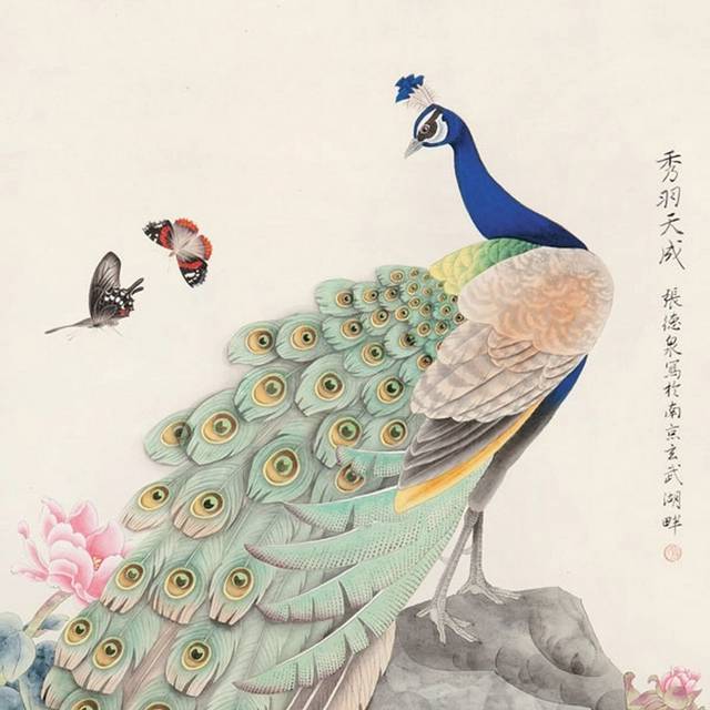 孔雀