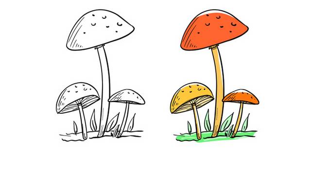 简笔画蘑菇