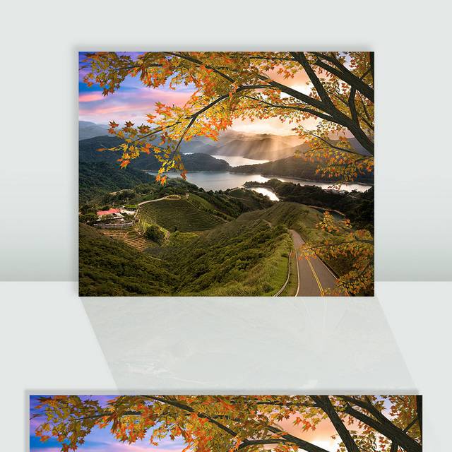 配色-秋天的树林和蜿蜒的小路Fall Trees Autumn Winding-风景配色