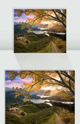 秋景图 秋季风景植物日出橙高清图片下载-正版图片307773308-摄图网