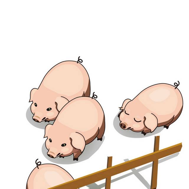 矢量小猪