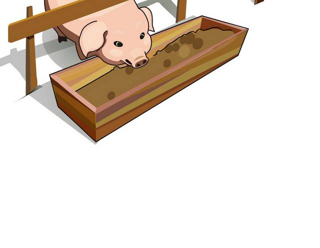 矢量小猪