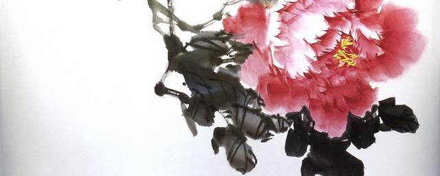 牡丹