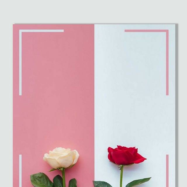 高清玫瑰花卉教师节广告背景