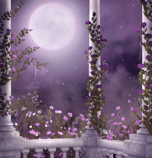 月光下的花廊