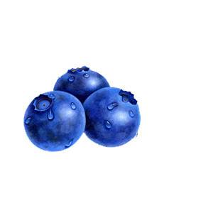 新鲜蓝莓