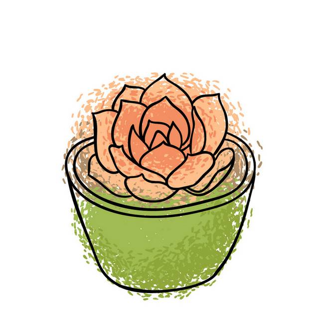 盆栽小植物插画26