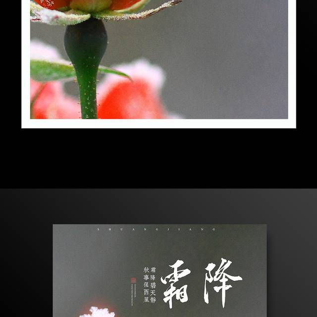 中国传统节气霜降海报
