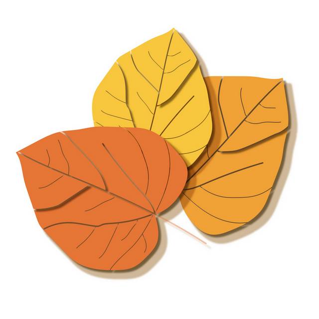 三片橘黄树叶秋季素材