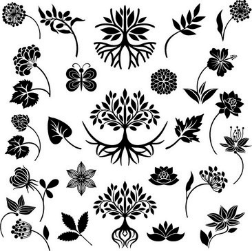 花卉变形图案黑白作业图片