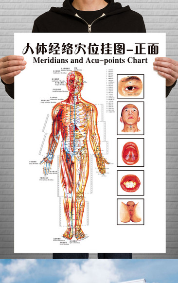 人體經絡圖