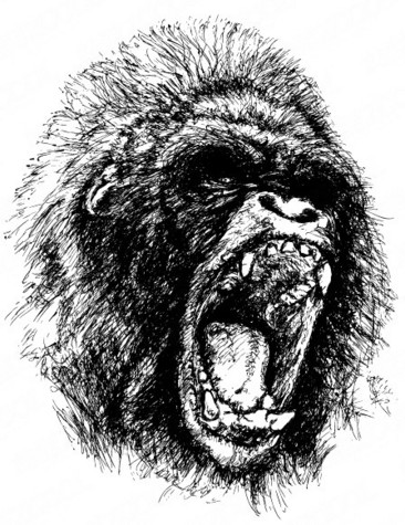 大猩猩怒吼素描图片图片