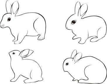 小白兔线描画图片图片