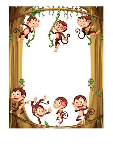 带有猴子的背景图图片