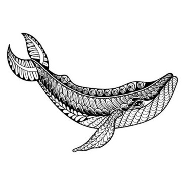 鲸鱼点线面平面构成图片