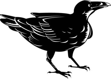 中国风水墨24节气清明节插画剪影素材乌鸦和其他鸟类剪影素材乌鸦和
