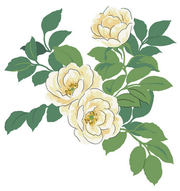 白色茶花设计素材手绘茶花设计元素手绘茶花设计元素复古茶花设计元素