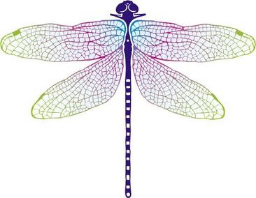 彩色翅膀蜻蜓素材