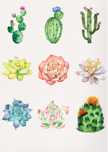 手绘植物素材 高清手绘植物素材图片 素材 模板 免费手绘植物素材图库下载 图品汇