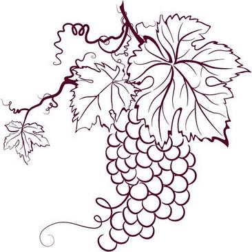 葡萄手绘装饰画