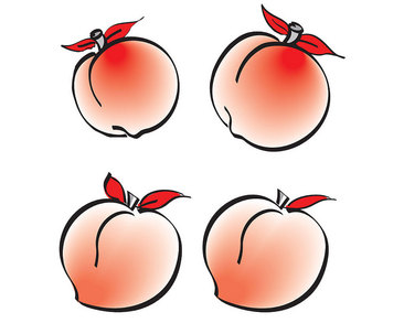 Ŀֻ