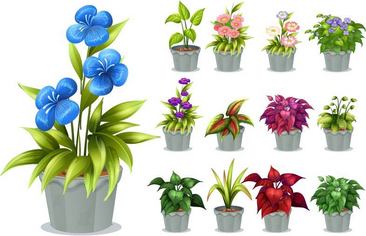 植物盆栽素材_图品汇