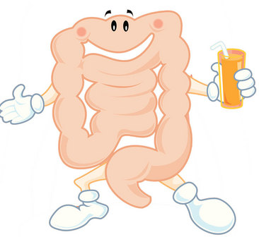 胃肠图片卡通图图片
