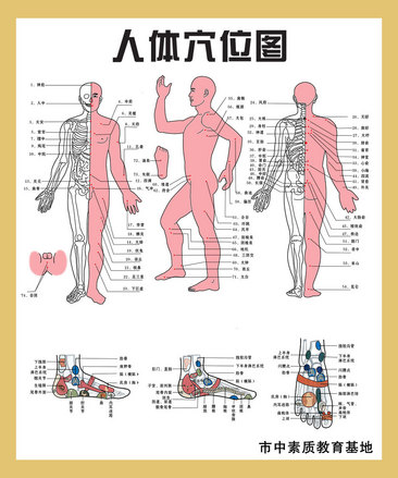 人體穴位經脈圖