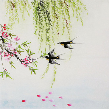 柳树上有燕子飞的图片图片