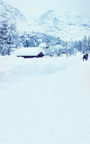 雪地背景 高清雪地背景图片 素材 模板 免费雪地背景图库下载 图品汇