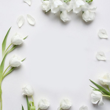 小清新白色花朵主图背景
