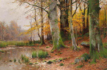 秋日树林风景油画