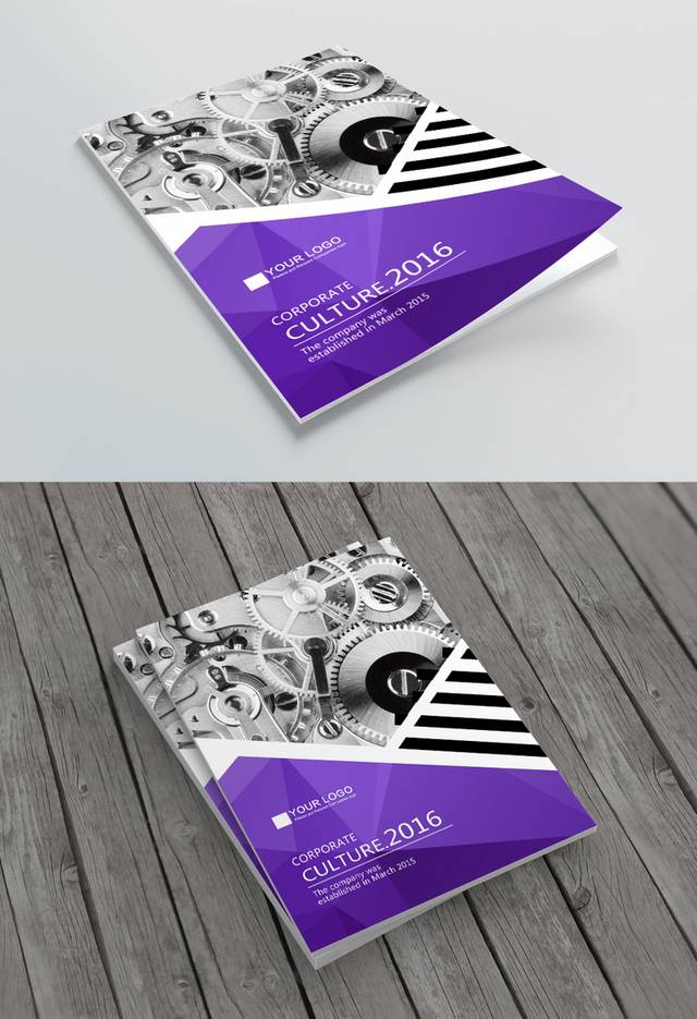 紫色绚丽画册封面设计