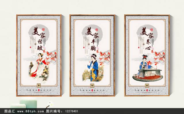 中医美容文化宣传展板设计