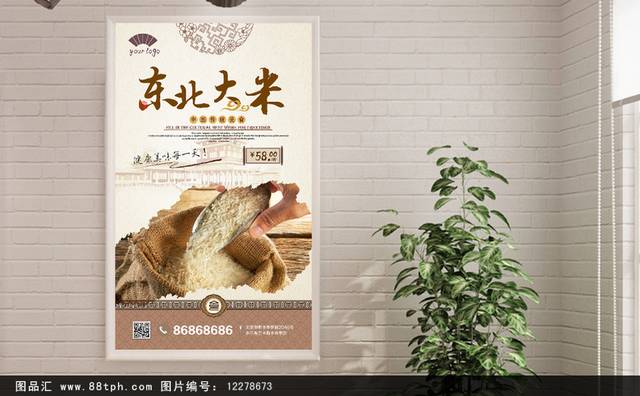 中国风东北大米宣传海报设计
