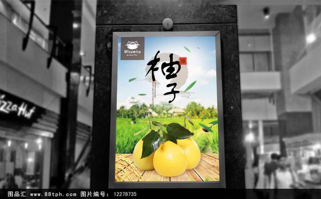 高清柚子海报设计下载