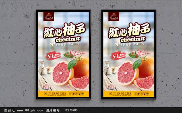 高清柚子宣传海报设计
