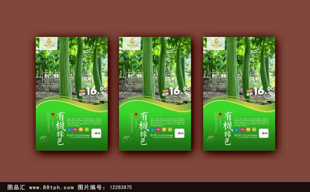 绿色新鲜丝瓜海报设计