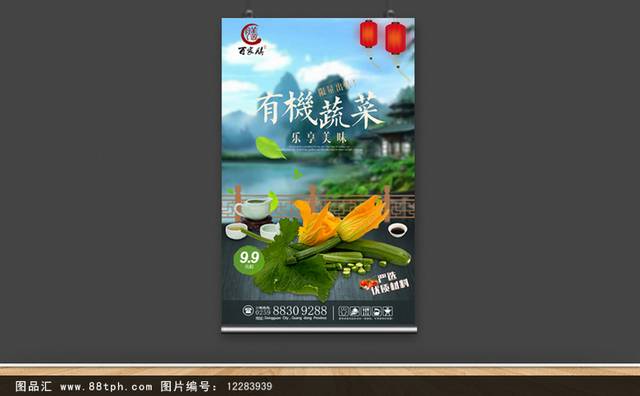 精美绿色蔬菜丝瓜海报宣传设计