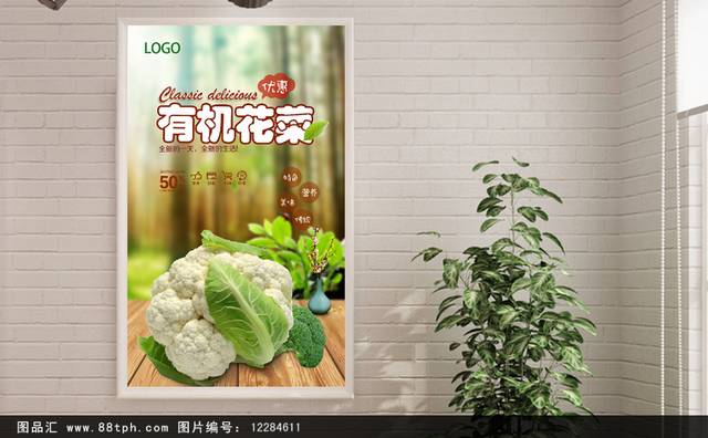 新鲜高清花菜宣传海报设计psd
