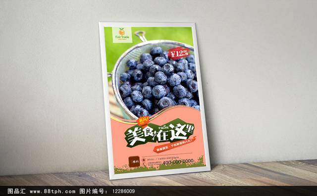 蓝莓宣传海报设计